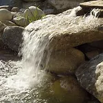 Gartenhotel Daxer Zell am See